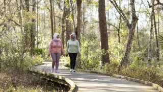 Two women walking on forest path